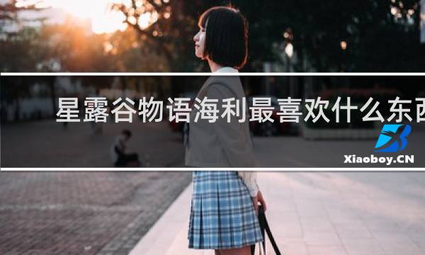 星露谷物语海利最喜欢什么东西