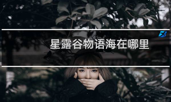 星露谷物语海在哪里