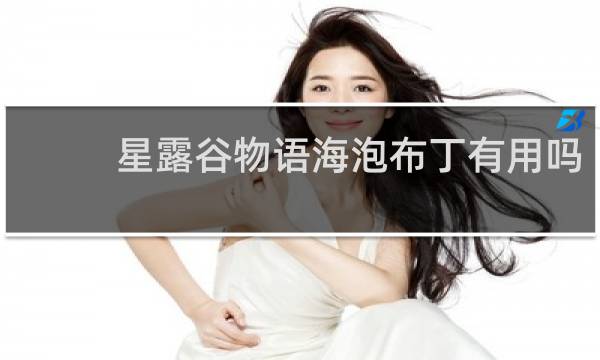 星露谷物语海泡布丁有用吗