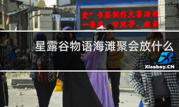 星露谷物语海滩聚会放什么