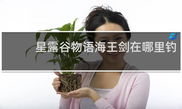 星露谷物语海王剑在哪里钓