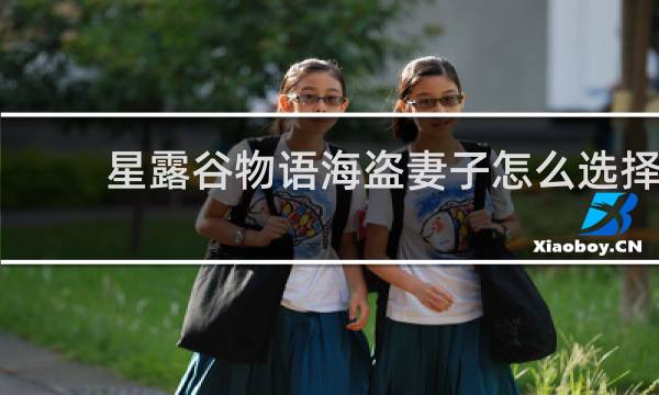 星露谷物语海盗妻子怎么选择