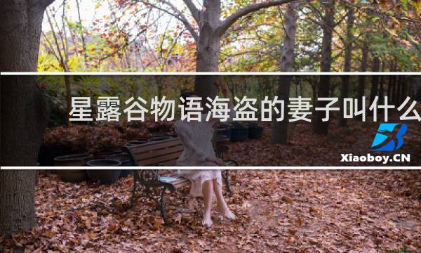 星露谷物语海盗的妻子叫什么