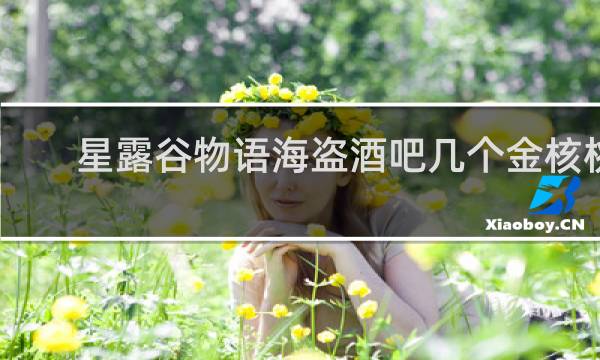 星露谷物语海盗酒吧几个金核桃