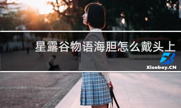 星露谷物语海胆怎么戴头上