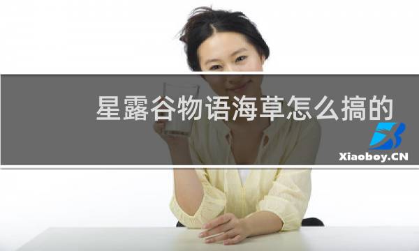 星露谷物语海草怎么搞的