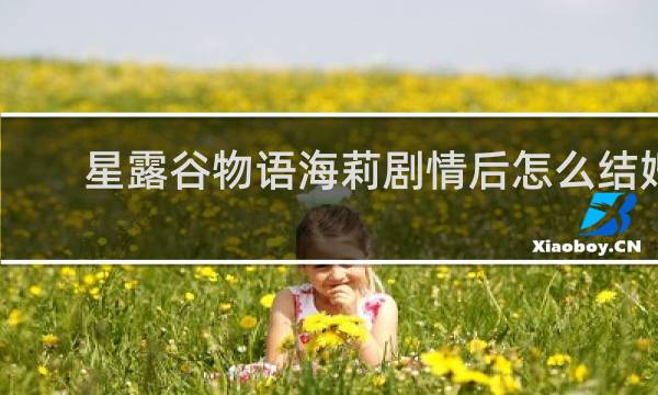 星露谷物语海莉剧情后怎么结婚