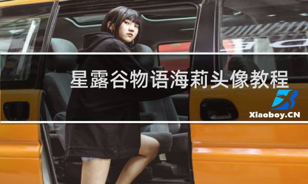 星露谷物语海莉头像教程