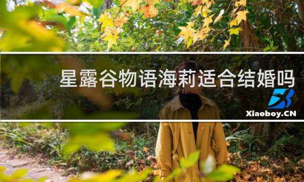 星露谷物语海莉适合结婚吗