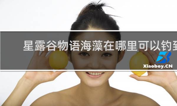 星露谷物语海藻在哪里可以钓到