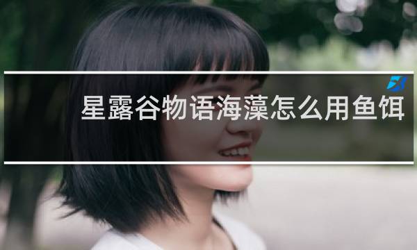 星露谷物语海藻怎么用鱼饵
