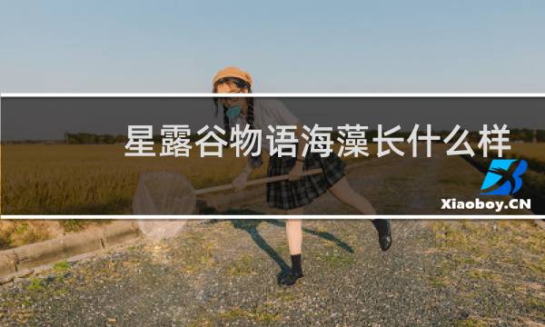 星露谷物语海藻长什么样