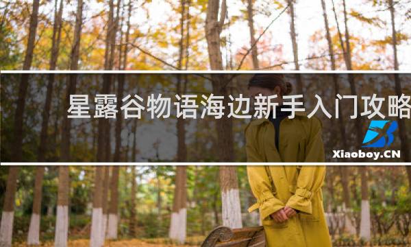 星露谷物语海边新手入门攻略