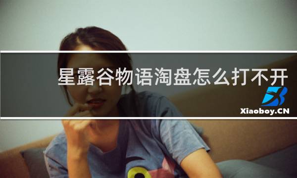 星露谷物语淘盘怎么打不开