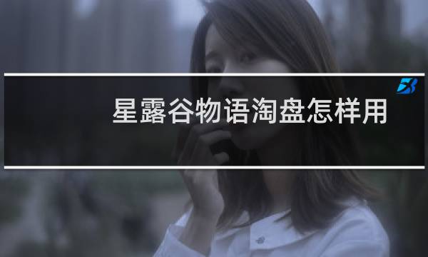 星露谷物语淘盘怎样用