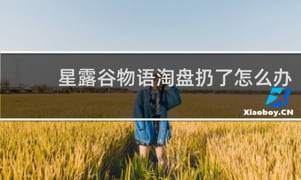 星露谷物语淘盘扔了怎么办
