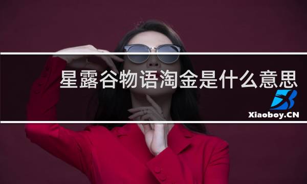 星露谷物语淘金是什么意思