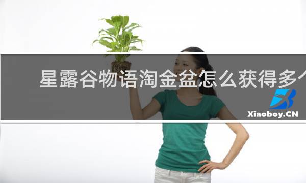 星露谷物语淘金盆怎么获得多个