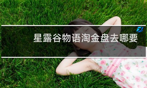 星露谷物语淘金盘去哪要