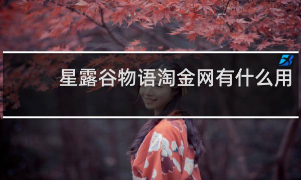 星露谷物语淘金网有什么用