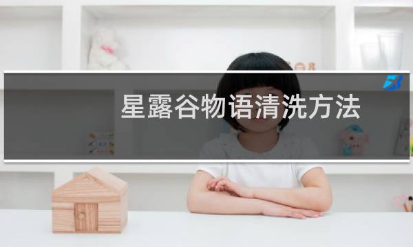 星露谷物语清洗方法