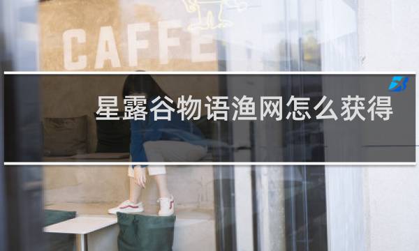 星露谷物语渔网怎么获得