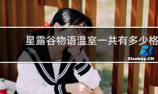 星露谷物语温室一共有多少格