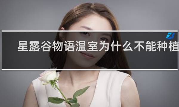 星露谷物语温室为什么不能种植物