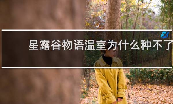 星露谷物语温室为什么种不了