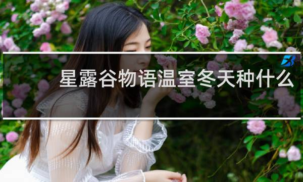 星露谷物语温室冬天种什么