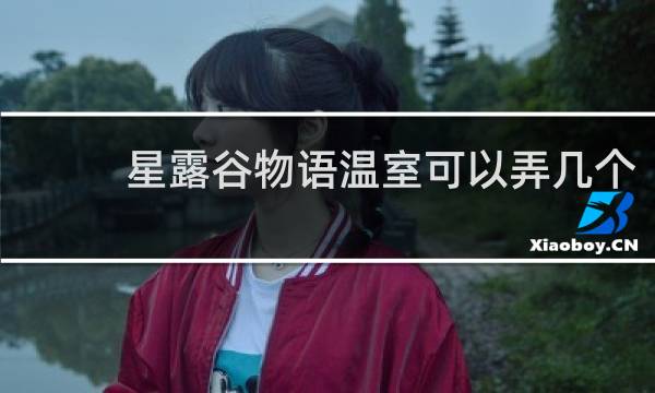 星露谷物语温室可以弄几个