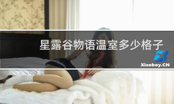 星露谷物语温室多少格子