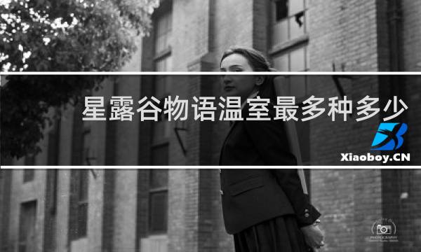 星露谷物语温室最多种多少