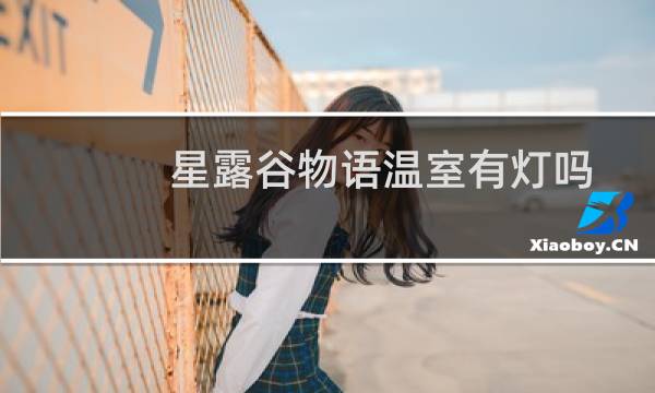 星露谷物语温室有灯吗