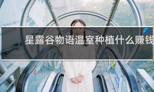 星露谷物语温室种植什么赚钱