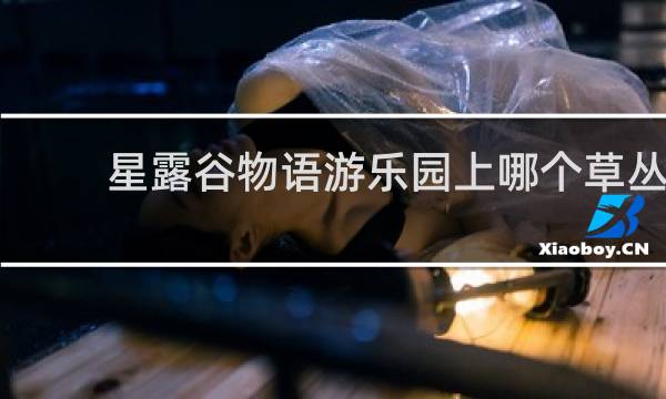 星露谷物语游乐园上哪个草丛