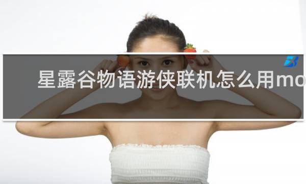 星露谷物语游侠联机怎么用mod
