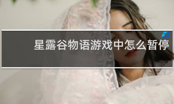 星露谷物语游戏中怎么暂停