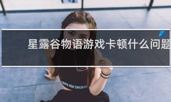 星露谷物语游戏卡顿什么问题