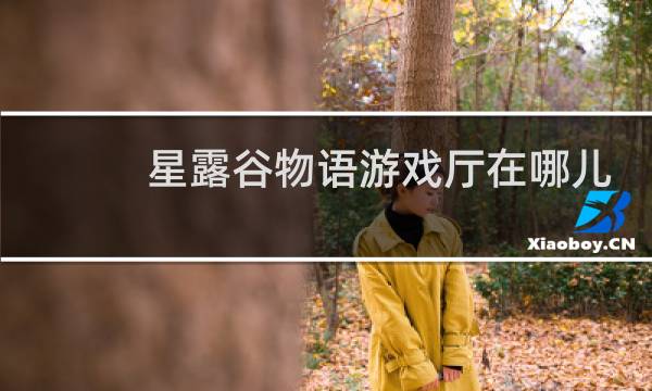 星露谷物语游戏厅在哪儿