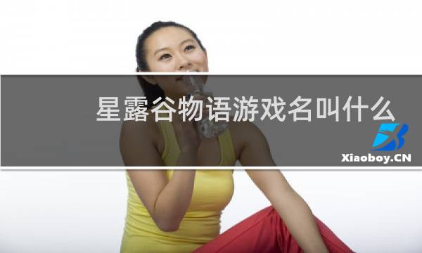 星露谷物语游戏名叫什么