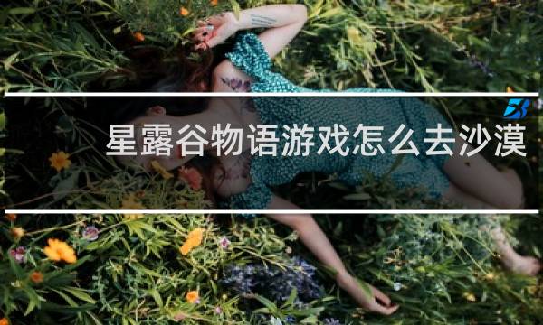 星露谷物语游戏怎么去沙漠