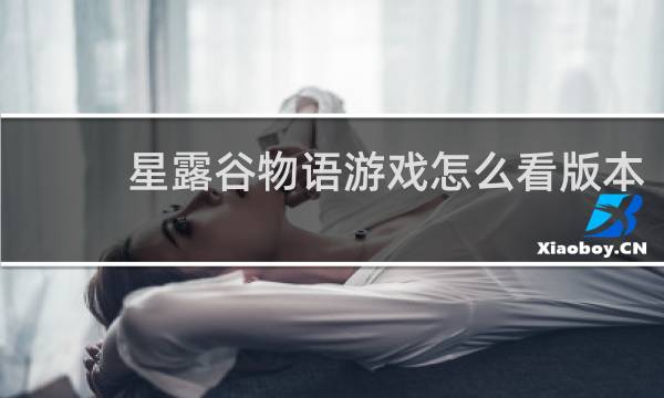 星露谷物语游戏怎么看版本