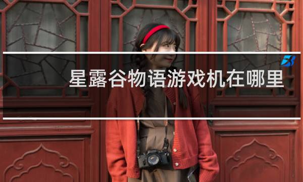 星露谷物语游戏机在哪里