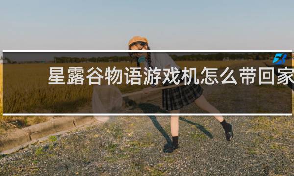 星露谷物语游戏机怎么带回家