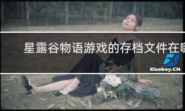 星露谷物语游戏的存档文件在哪