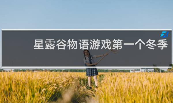 星露谷物语游戏第一个冬季