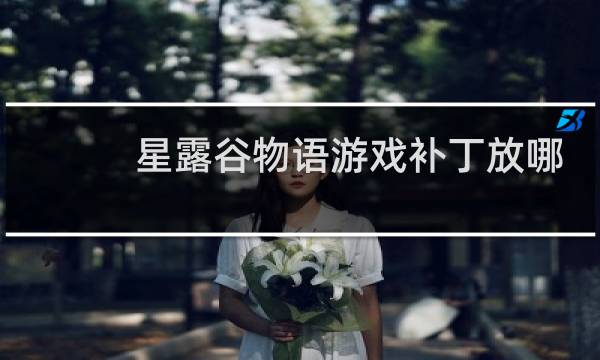 星露谷物语游戏补丁放哪