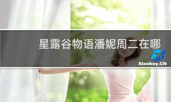 星露谷物语潘妮周二在哪