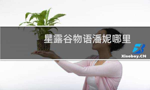 星露谷物语潘妮哪里